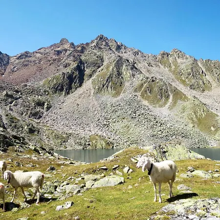 Appartamento Birkenheim-1 By Interhome Sölden