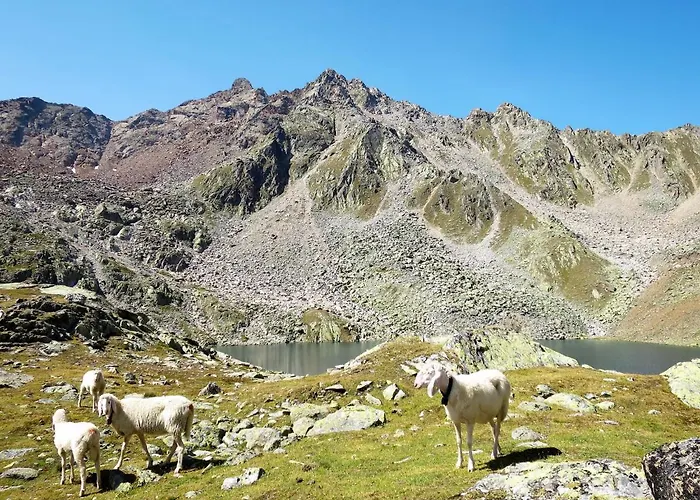 Διαμέρισμα Birkenheim-1 By Interhome Ζόλντεν